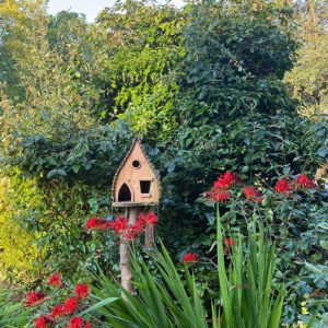 Best Place For Your Birdtable?