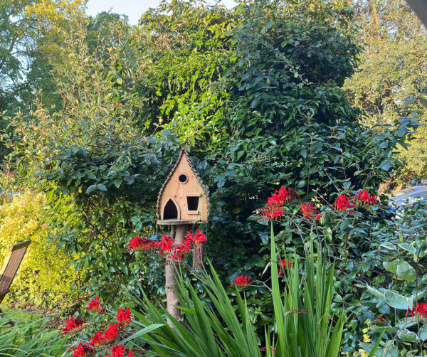 Best Place For Your Birdtable?